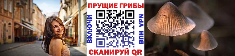 Псилоцибиновые грибы мухоморы Уварово