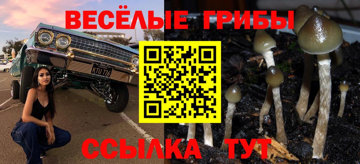 Псилоцибиновые грибы Psilocybe  Вход с VPN  Уварово 